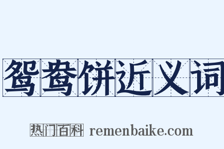鸳鸯饼近义词是什么意思的图片